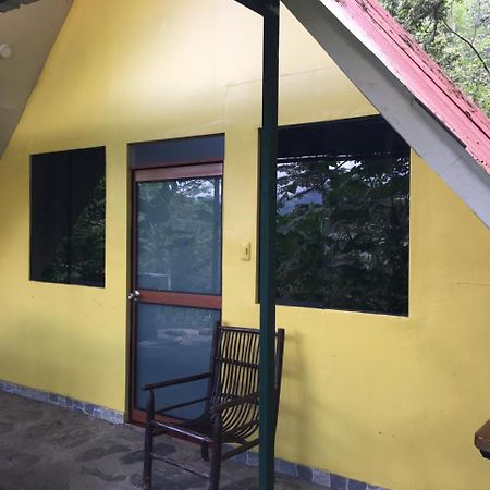 Madera Verde Ecolodge Maranura المظهر الخارجي الصورة